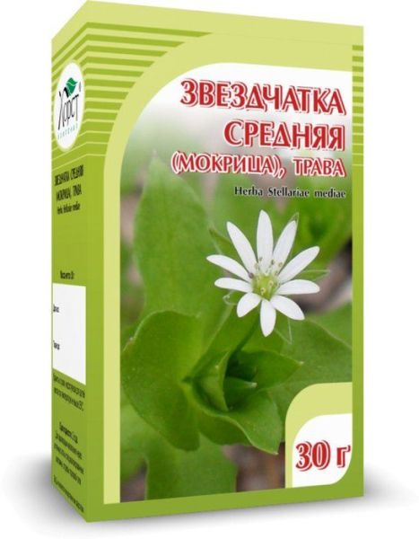 Изображение товара Звездчатка средняя (мокрица) Хорст 30г Звездчатка средняя (мокрица) Хорст 30г фотография